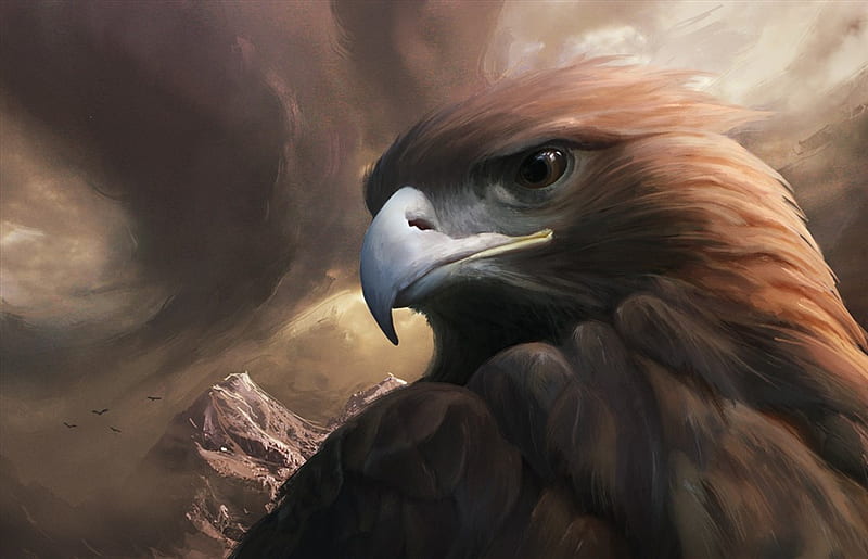 HD brown eagle wallpapers | Peakpx