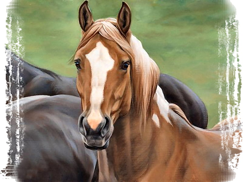 Heads Up - Horses, art, equine, horse, artwork, alert, painting, chestnut, scenery, landscape, HD wallpaper