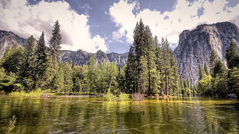 Mountain cliffs in yosemite national park, forest, cliffs, mountains ...