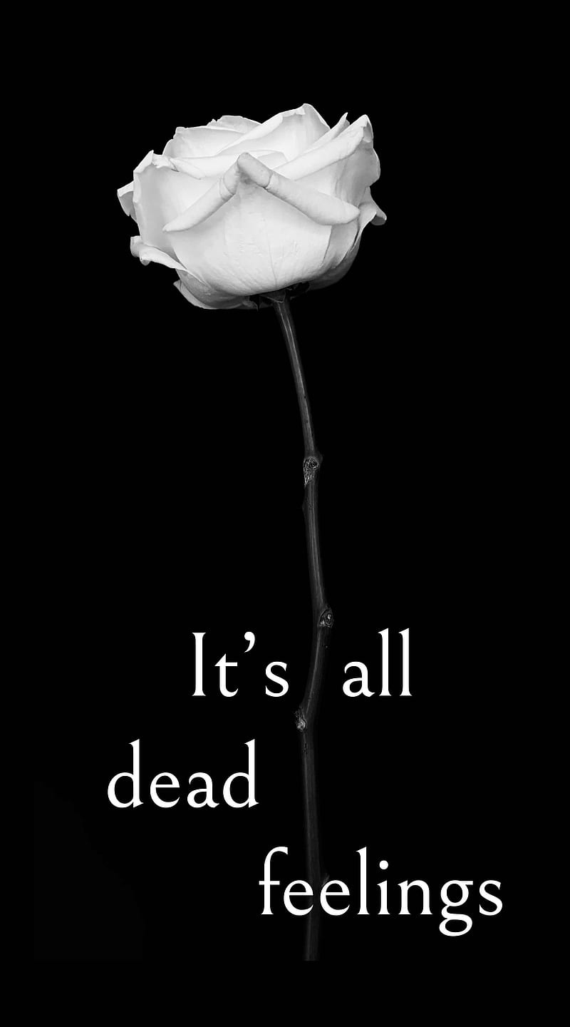 All Dead Feelings, black, creative, depth, feels, flower, rose, sad, white rose, HD phone wallpaper