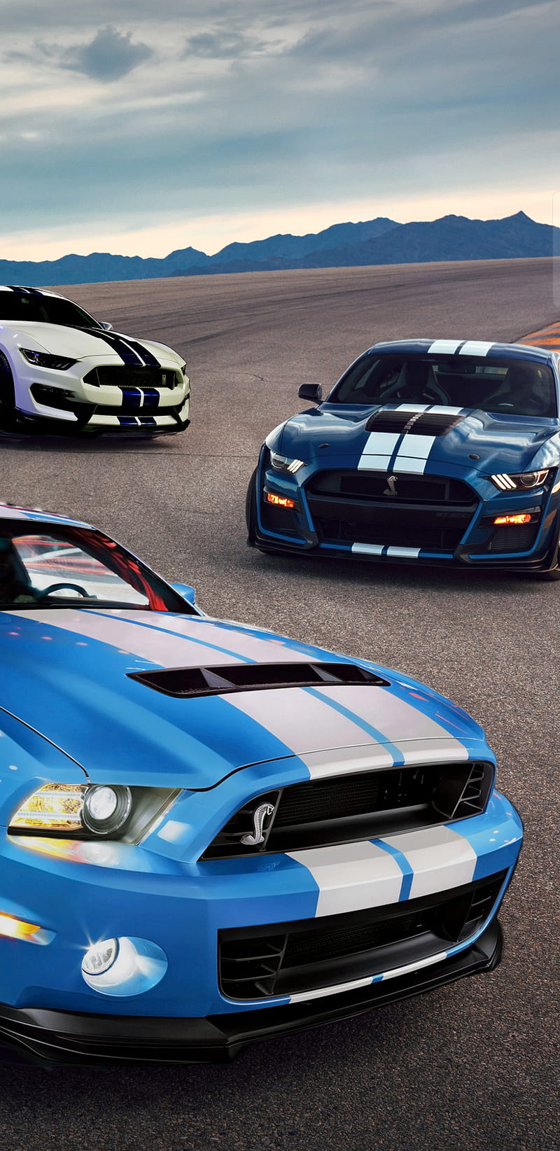 Mustang, ford, gt500, mustang gt500, shelby, shelby gt500, shelby mustang, HD phone wallpaper