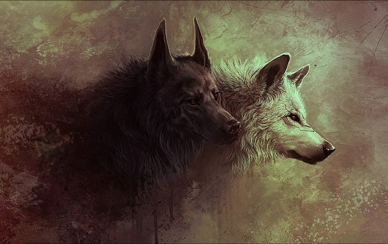 wolves, female, male, white wolf, old style, abstract, old, artwork, fantasy, red eyes, black wolf, HD wallpaper