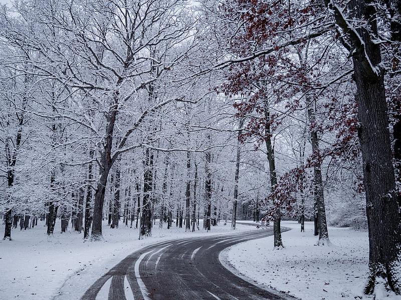 road, turn, snow, winter, trees, HD wallpaper
