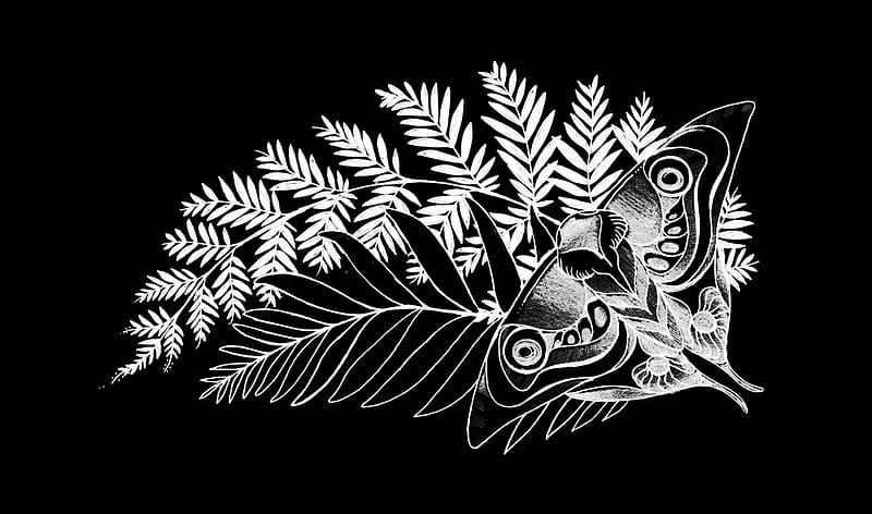 Tribal Tattoo Clipart Hd PNG, Tribal Tattoo Art Design, Tribal, Tattoo,  Pattern PNG Image For Free Download