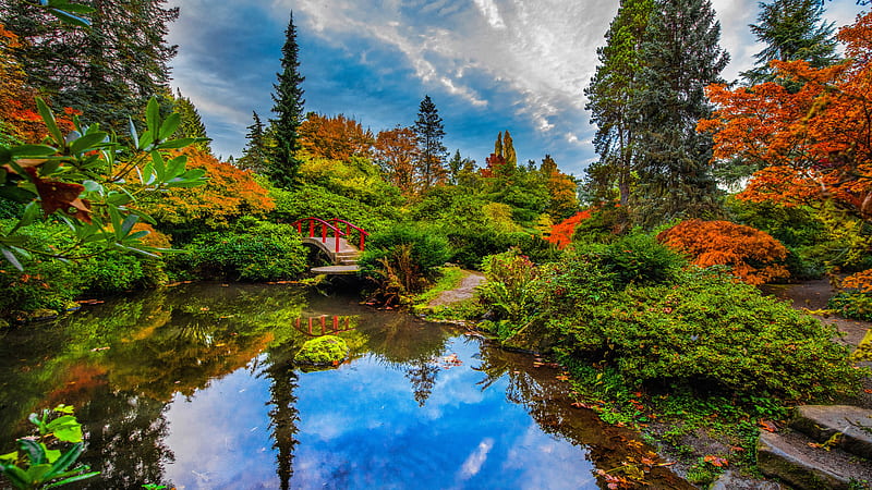 Japanese Garden With Reflection On Pond Seattle Travel, HD wallpaper