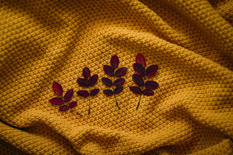 Four Brown Leaves On Textile, HD wallpaper