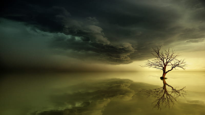 Artistic, Tree, Cloud, Dead Tree, Horizon, Lonely Tree, Mood, Reflection, Water, HD wallpaper