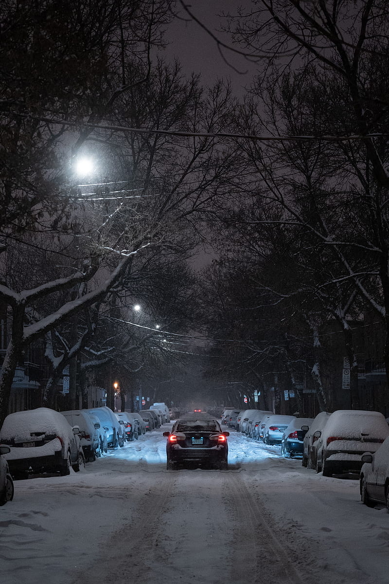 winter, street, car, movement, night, branches, trees, HD phone wallpaper