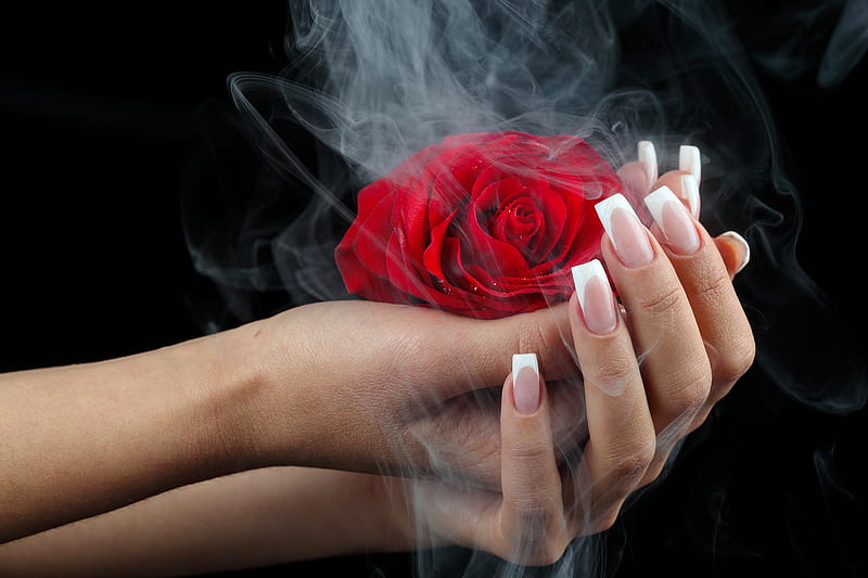 The flower of love, red, pretty, lovely, rose, bonito, nails, hands, love, Valentine, flower, passion, smoke, HD wallpaper