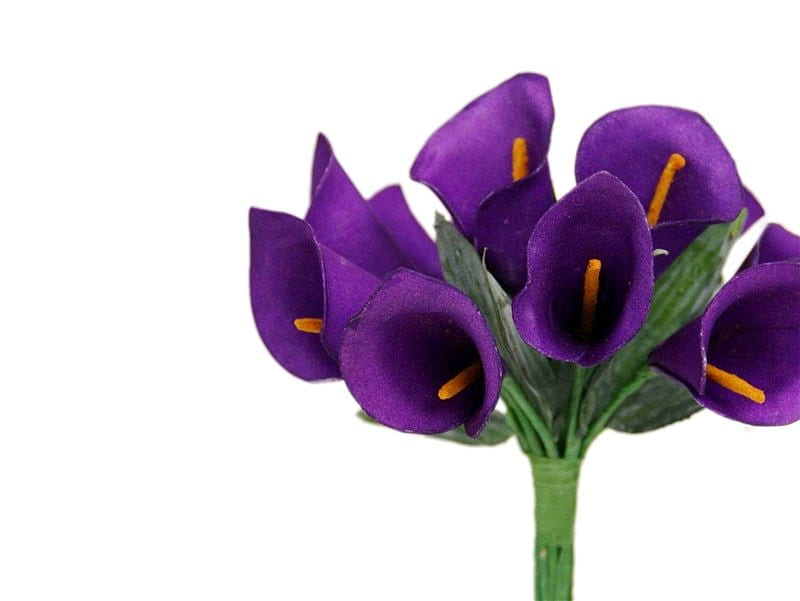 Purple calas, flower, cala, white, purple, HD wallpaper