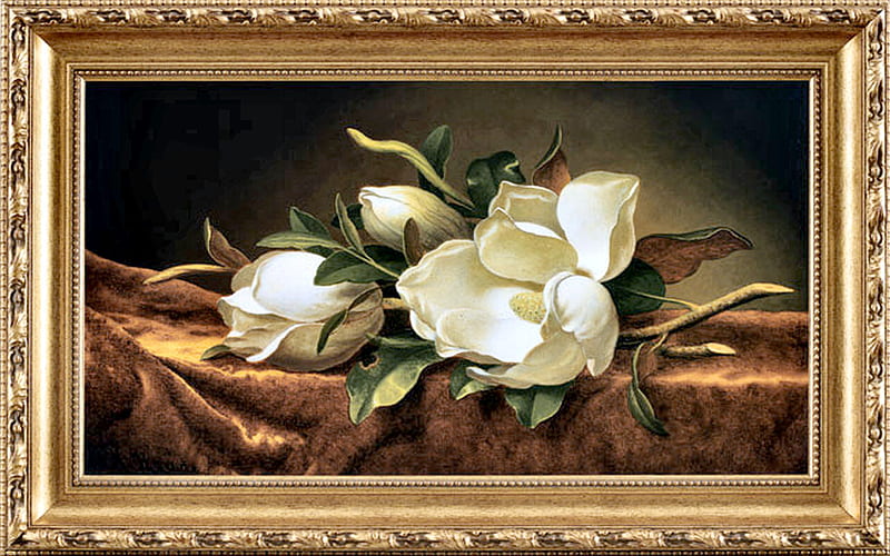 Magnolias on Gold Velvet 2, art, romance, magnolias, heade, martin heade, artwork, floral, love, painting, wide screen, flower, beauty, HD wallpaper