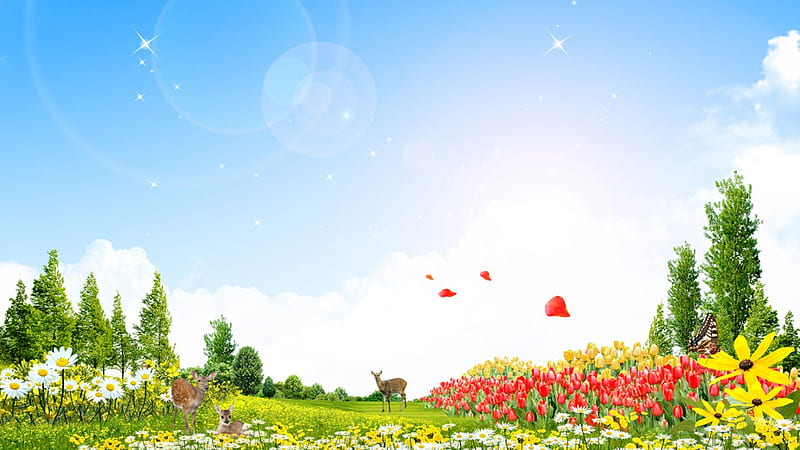 Spring Field, fawn, spring, sky, clouds, deer, summer, flowers, petals, tulips, field, meadow, HD wallpaper