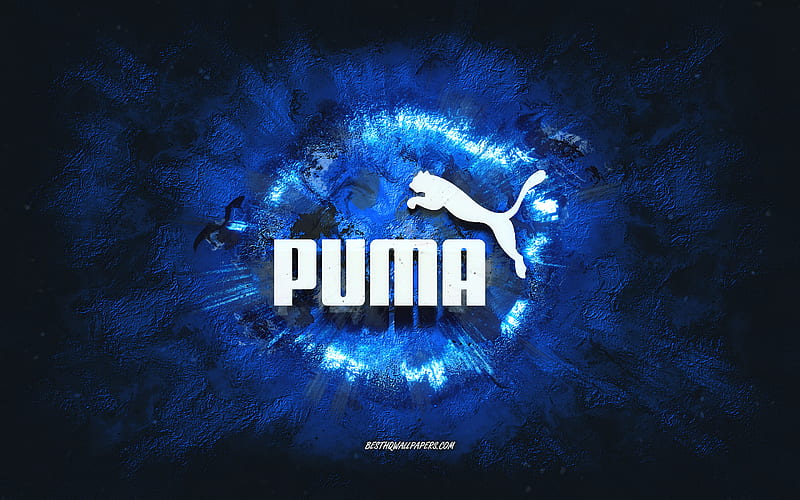 Wallpaper cat background Puma images for desktop section кошки  download