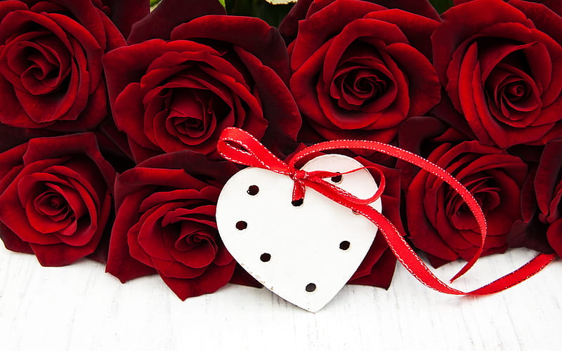 red roses, rose bouquet, white heart, romance concepts, February 14, I love you, HD wallpaper