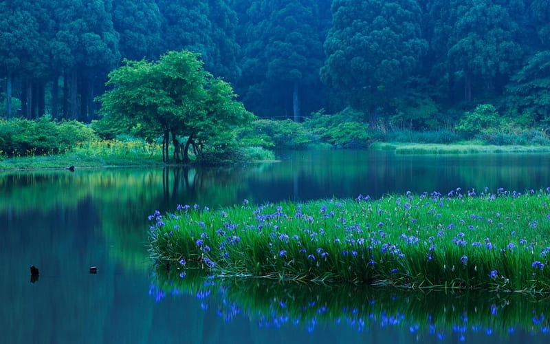 Lake Biwa, japan, japanese, biwa, nature, takashima, scenery, lake, HD wallpaper
