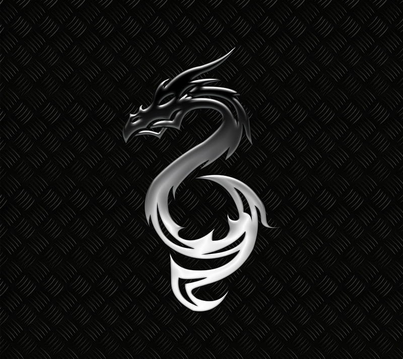 Metal Dragon, dark, drake, ophidian, serpent, silver, steel, HD wallpaper
