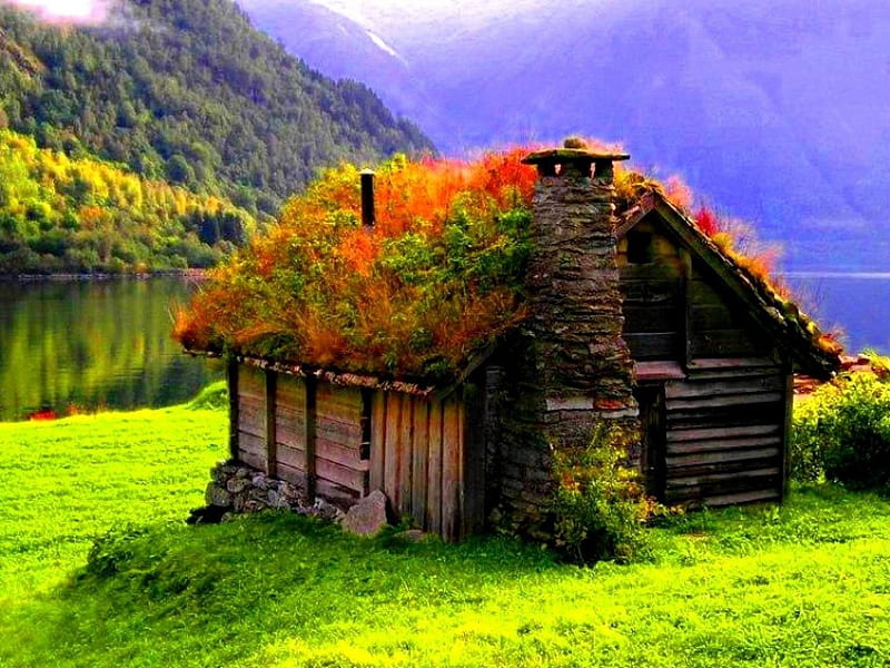 Small cottage in the middle of the beautiful nature. Beautiful Nature Landscapes . Awsome Landsc. Grass roof, Off grid homes, Beautiful cottages, Norway Cabin, HD wallpaper