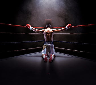 HD boxing ring wallpapers | Peakpx