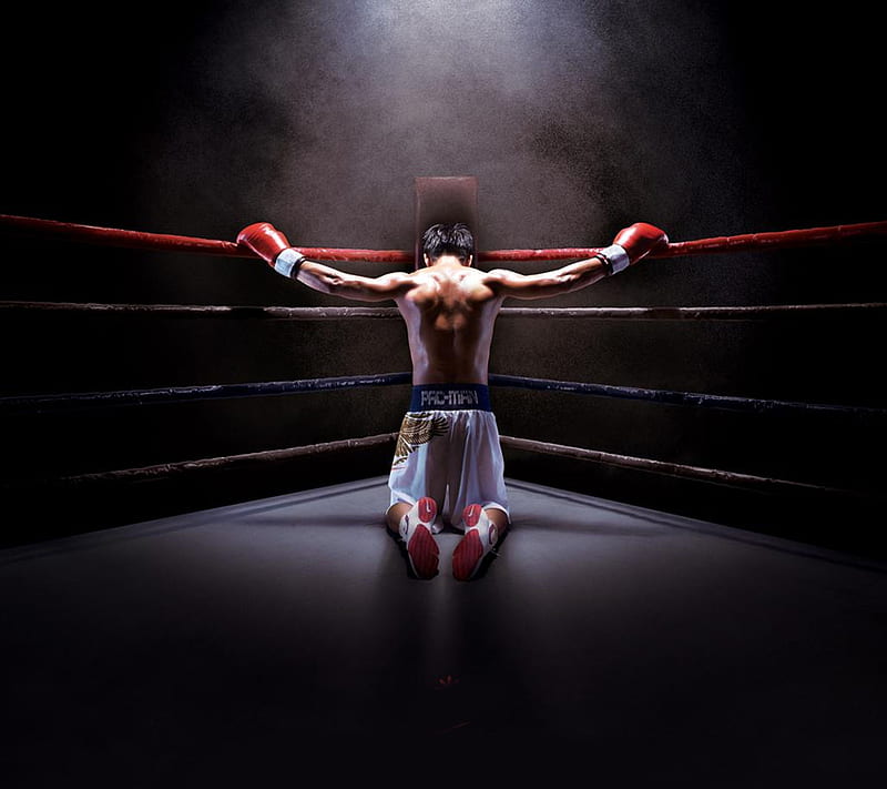 In The Ring, arts, boxing, color, fight, kickboxing, martial, mma, esports, HD wallpaper