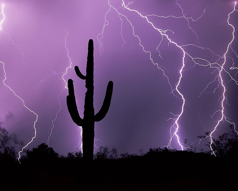 Desert Storm, arizona, tucson, HD wallpaper