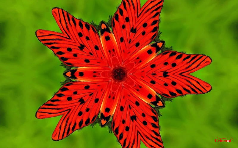 Watermelon star, red, art, by cehenot, abstract, fruit, green, watermelon, painting, summer, pictura, star, HD wallpaper