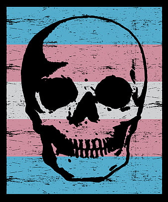 Transgender Skull, iCreate, pride, trans, HD phone wallpaper