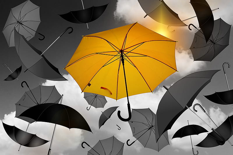 Yellow Umbrella, Umbrella, Yellow, Black, Contrast, HD wallpaper | Peakpx
