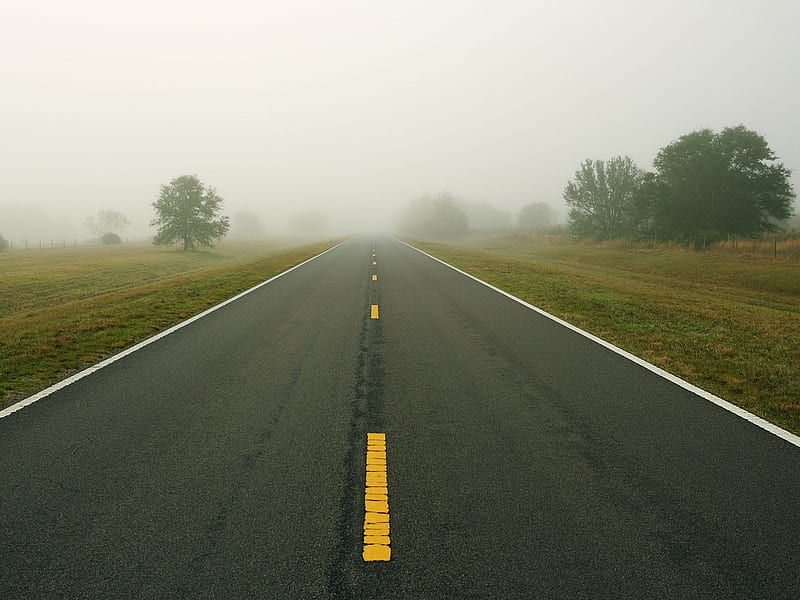 straight ahead, ahead, drive, trees, fog, mist, morning, way, road, HD wallpaper
