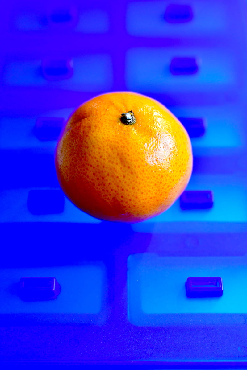 mandarin, fruit, citrus, hop, blue, HD phone wallpaper