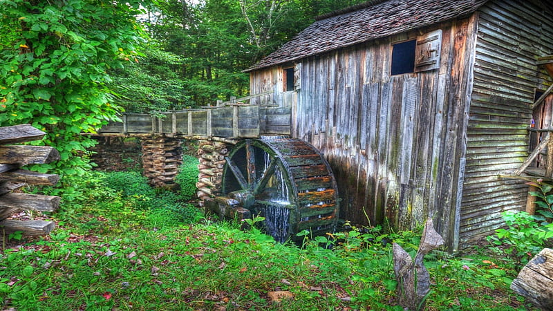 beautiful old mill, forest, wheel, mill, sluice, HD wallpaper