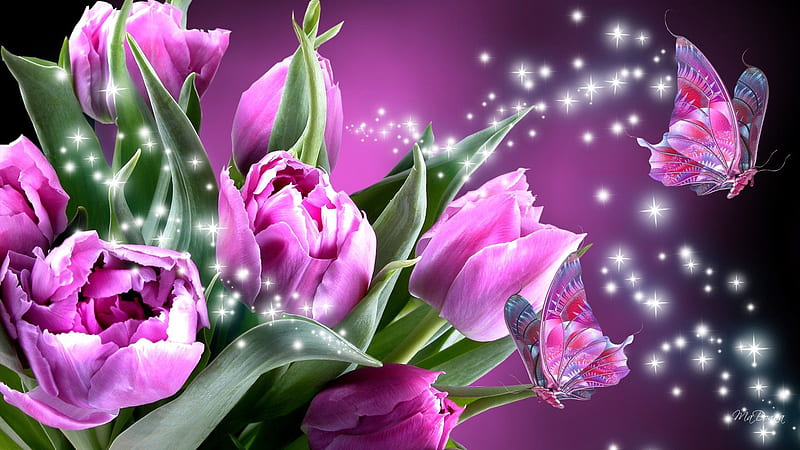 Pink Butterfly On Dark Pink Roses With Leaves Pink Butterfly, HD wallpaper