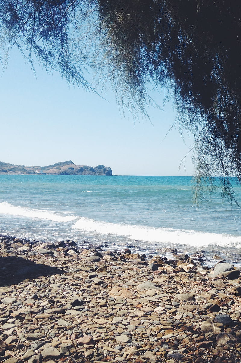 beach, pebbles, sea, stones, summer, tree, waves, HD phone wallpaper