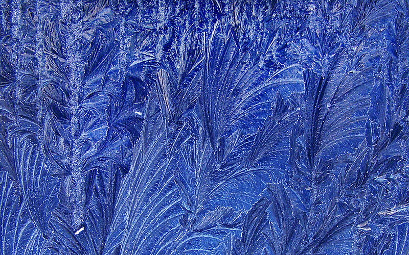 frost patterns blue frost backgrund, frost textures, ice patterns, blue backgrunds, frost patterns on glass, HD wallpaper