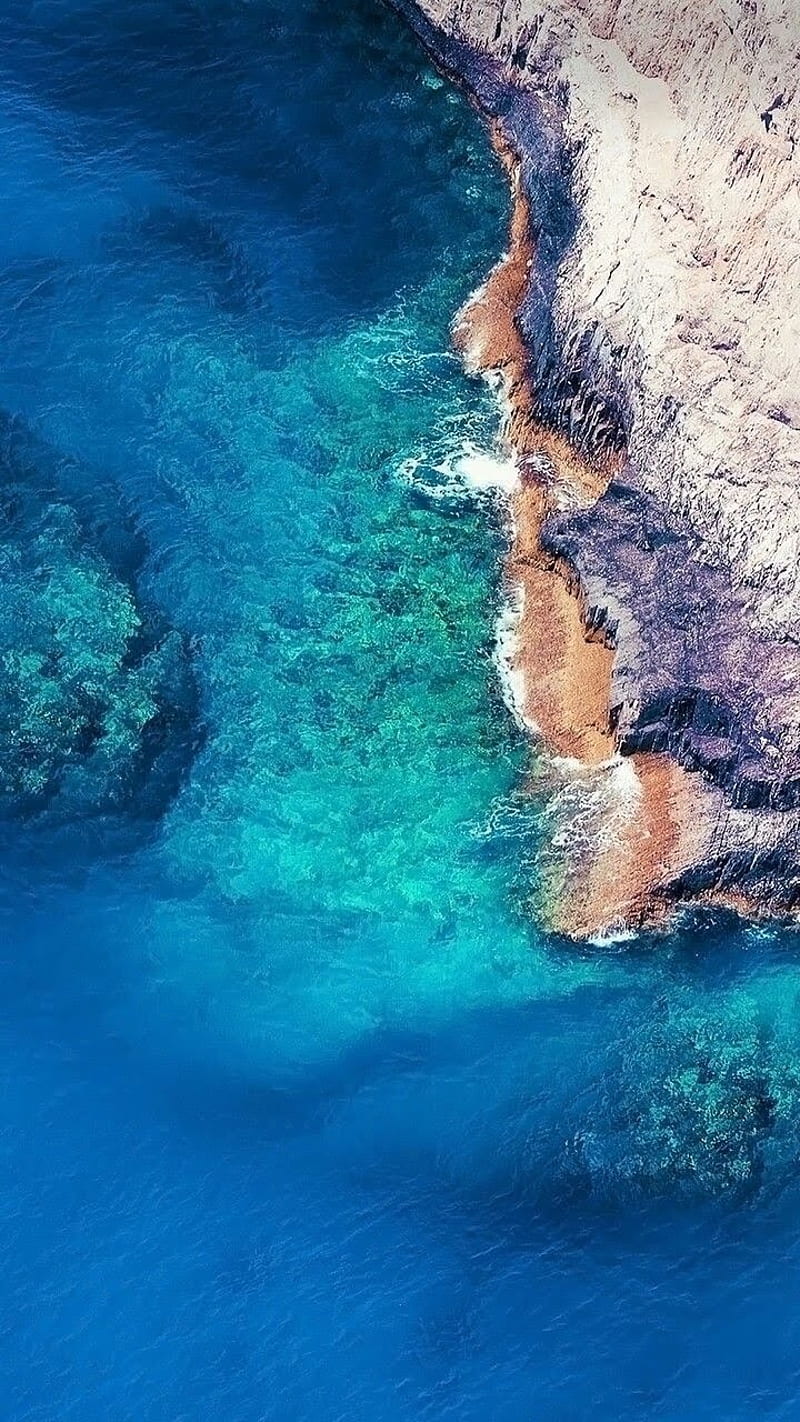 Blue sea, algee, earth, mangrove, ocean, rocks, under water, HD phone wallpaper