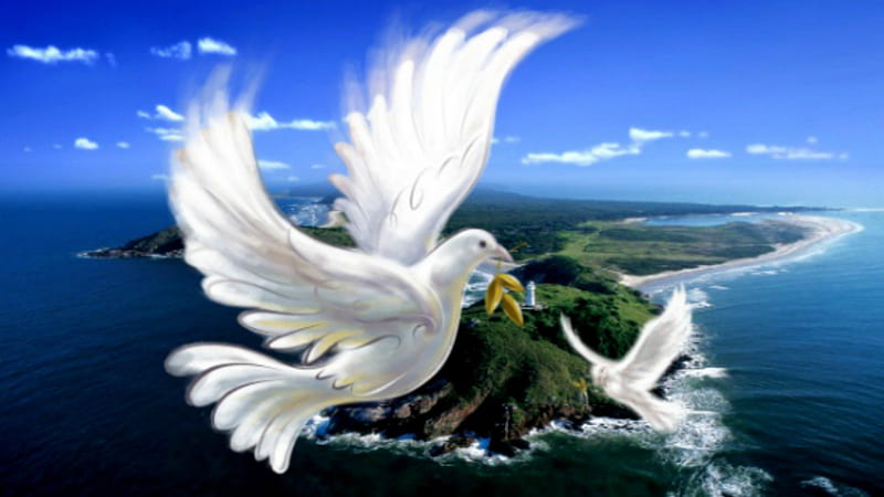 ~*~ Above The Sea ~*~, doves, beautiful view, ocean, sky, sea, HD wallpaper