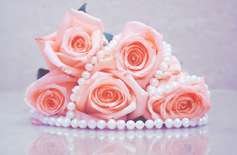 rose and pearls, lovely, rose, soft, bud, nice, delecte, plants, blossoms, flowers, nature, peach, pearls, blooms, HD wallpaper
