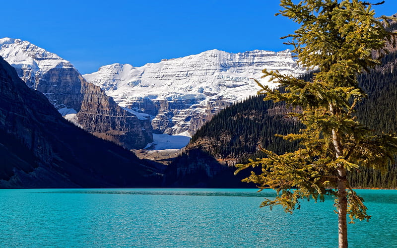 Lake Louise, Banff National Park, glacier lake, emerald lake, mountain landscape, Canada, HD wallpaper