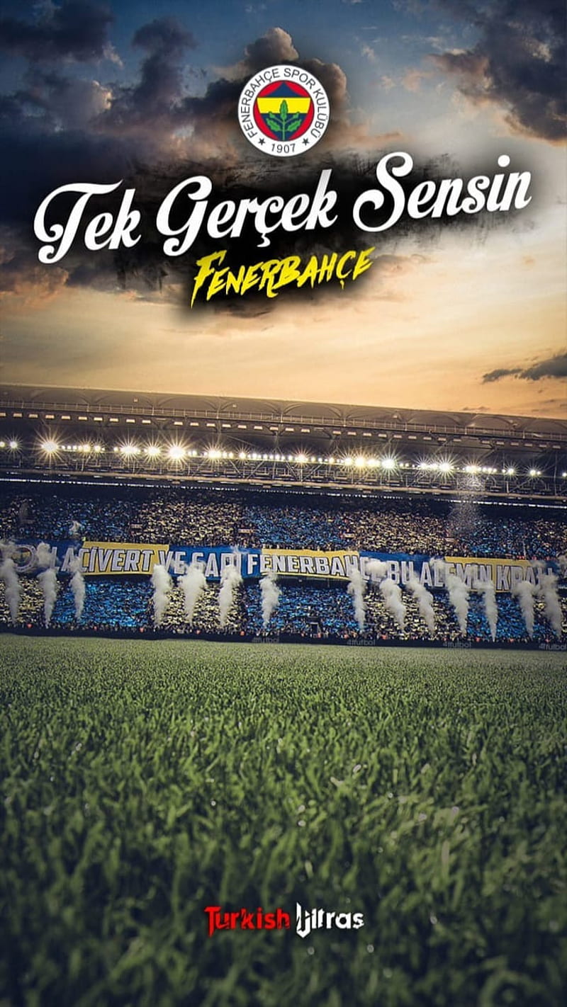 Fenerbahce, football, kadikoy, sport, HD phone wallpaper