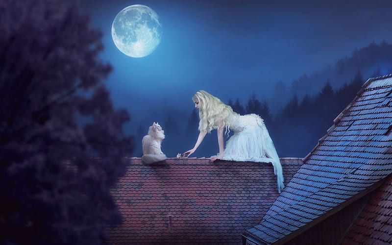 On the roof, roof, moon, luminos, cat, creative, fantasy, girl, full moon, white, pisica, blue, night, HD wallpaper