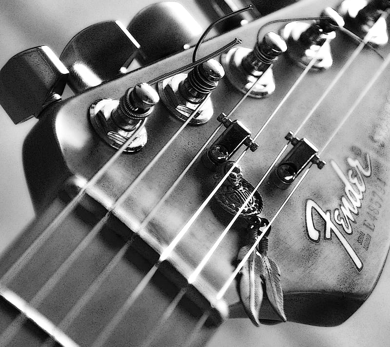 Fender, blues, guitar, instrument, music, play, rock, HD wallpaper