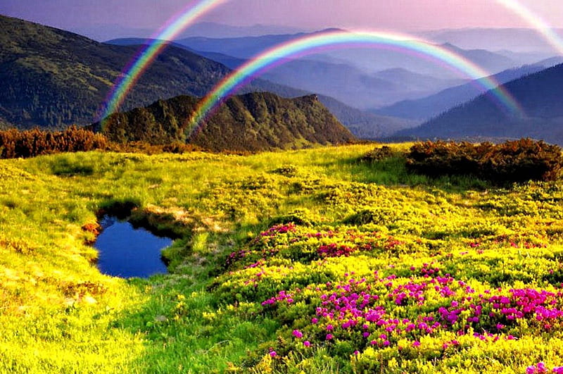 Aftrer the rain, pretty, colorful, slopes, yellow, bonito, rainbow, mountain, nice, calm, peaks, flowers, mountainscapr, harmony, quiet, lovely, fresh, colors, lake, pond, water, serenity, nature, rain, meadow, field, HD wallpaper