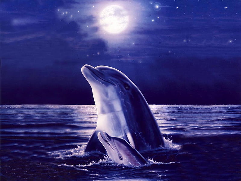 Moonlight dolphins, moon, water, purple, dolphins, moonlight, sea, HD wallpaper