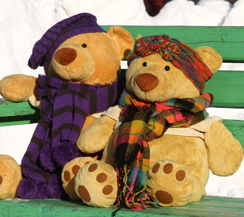 teddy bears, awesome, date, feeling, love, nice, park, teddy bear, together, HD wallpaper