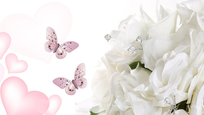 Delicate, valentines day, pink butterflies, white roses, dainty, corazones, simple, pearls, light, HD wallpaper