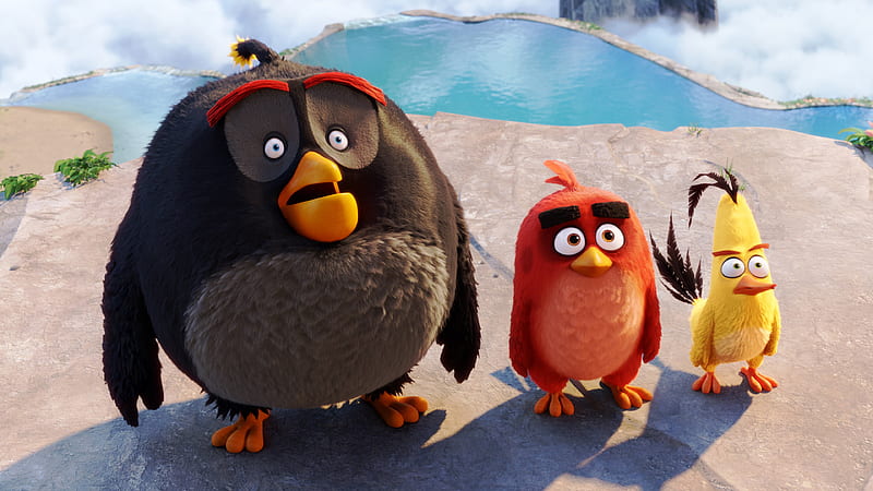 Latest Angry Birds 2016 Movie, angry-birds, birds, movies, animated-movies,  2016-movies, HD wallpaper | Peakpx