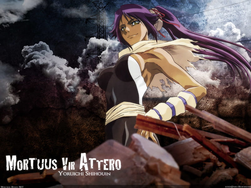 Anime, Bleach, Yoruichi Shihôin, HD wallpaper