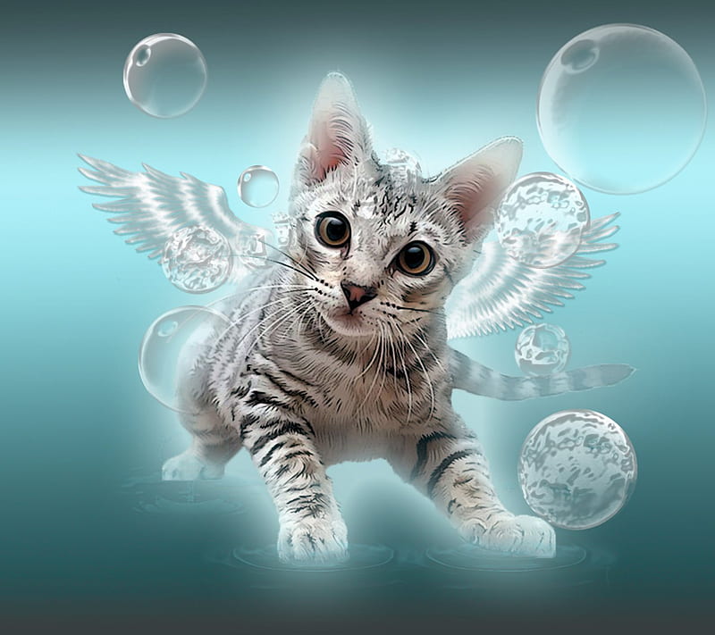 Kitten Angel, cat, saguaro, HD wallpaper