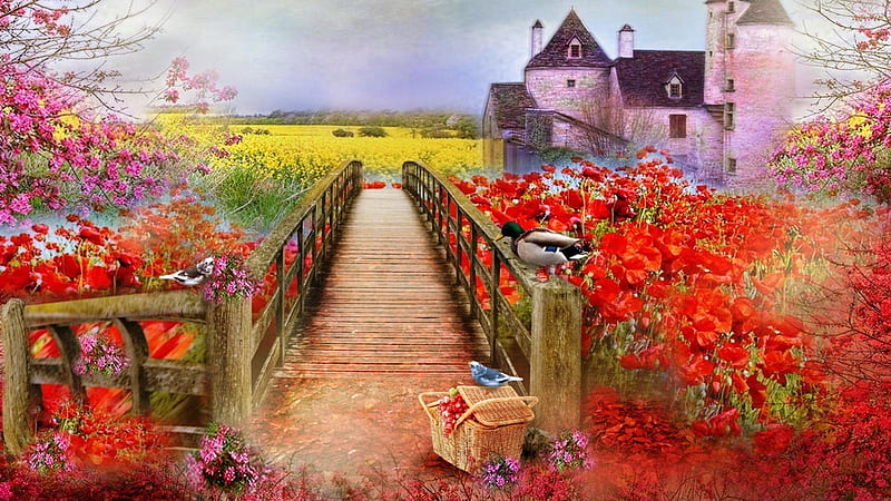 Spring Blossoms, rape, duck, cottage, basket, poppies, painting, flowers, path, HD wallpaper