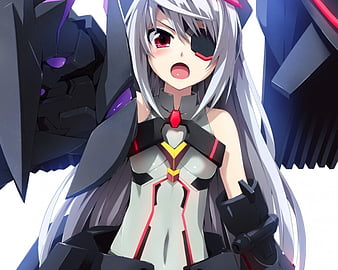 infinite stratos laura bed