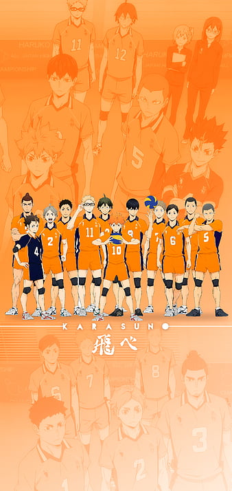 Haikyuu Karasuno Volleyball Team 4K Wallpaper #7.2827